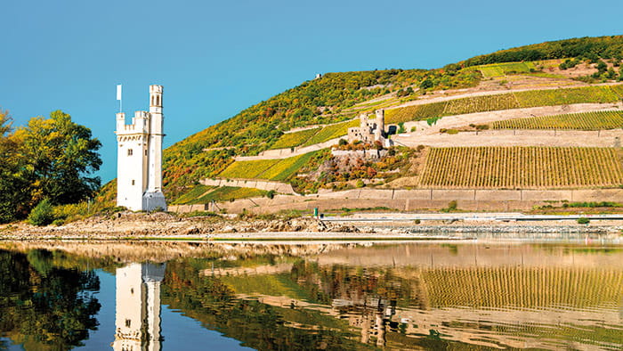 Ehrenfels Castle, Upper Middle Rhine